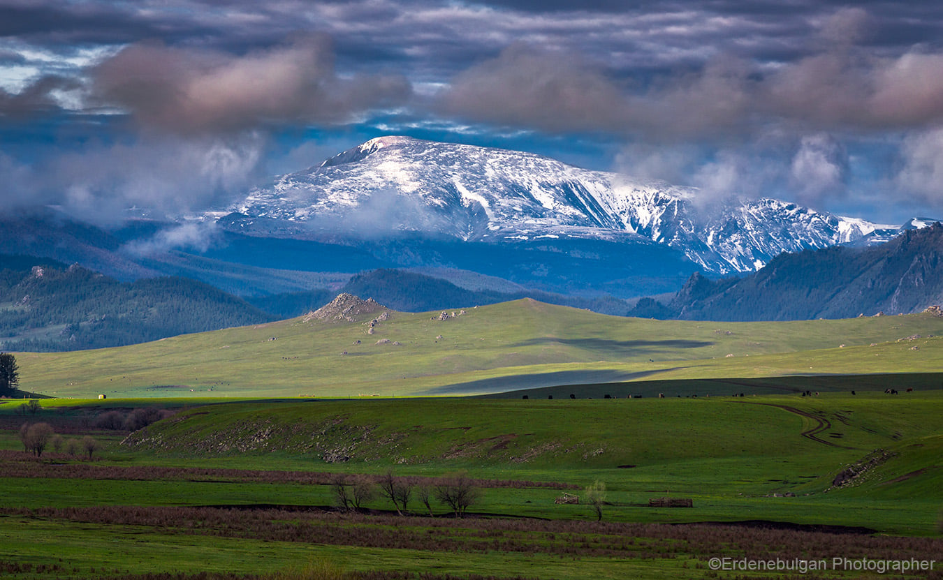 Renewable energy procurement program